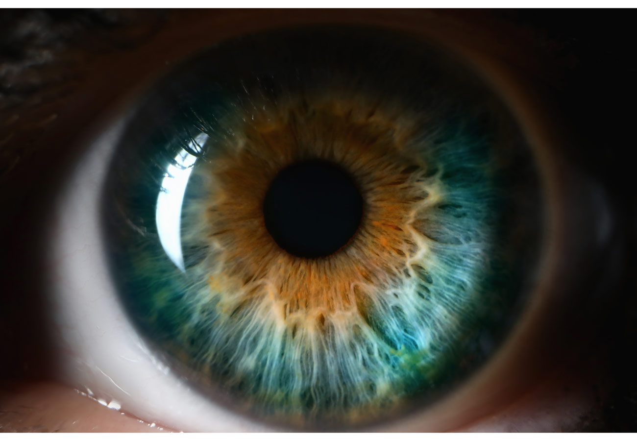 eyes